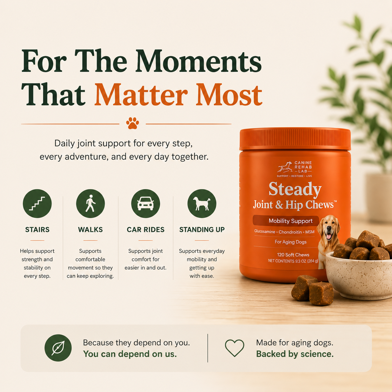 Steady Joint &amp; Hip Chews™