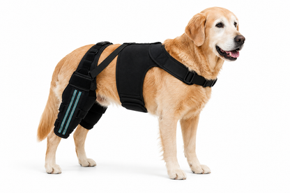 The Steady Hip Lift™